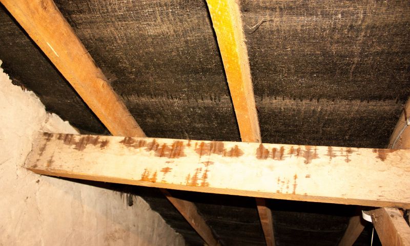 Building Repair Service in Alpharetta, GA