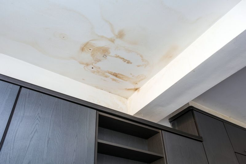 Ceiling Removal Service in Denver, CO